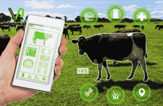 Virtual assistant efficiently performing data entry tasks Dairy Farm