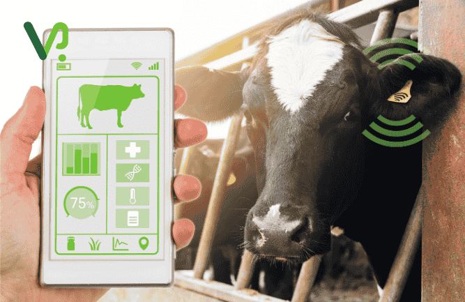 Virtual veterinary doctor providing online pet care consultations